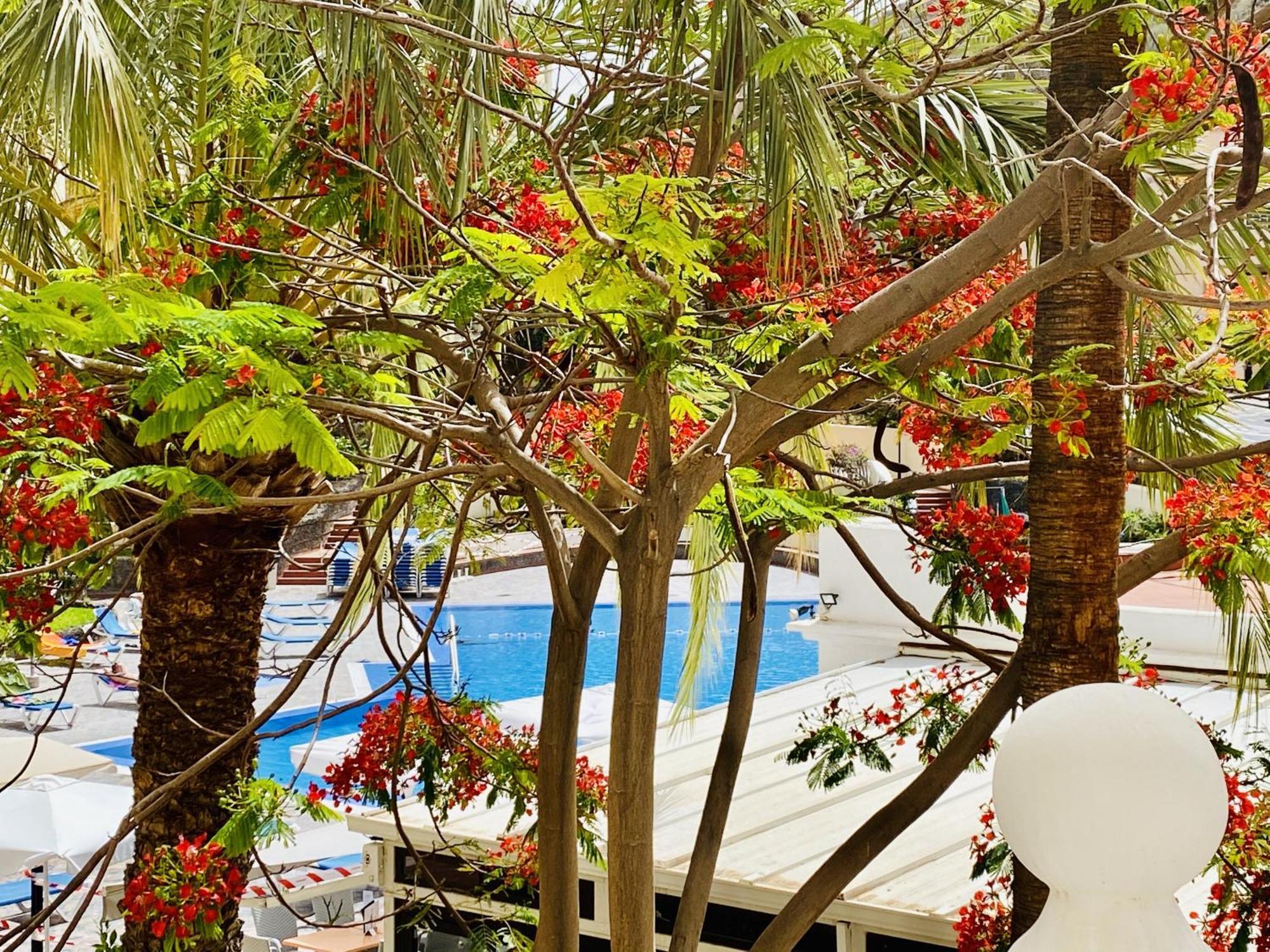 Castle Harbour Melanie'S Apartment By Lovetenerife Los Cristianos  Exterior photo